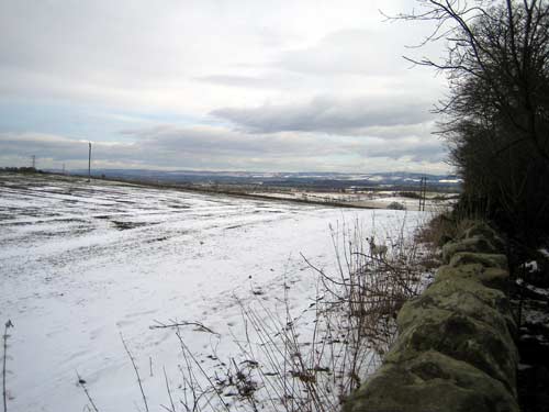 A snowy view of the top of Carberry Hill