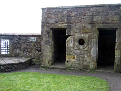 The Spur Battery